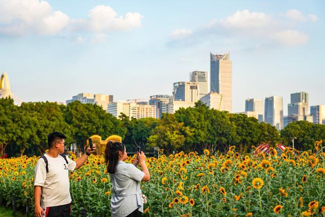 图/广州日报新花城记者:吴子良