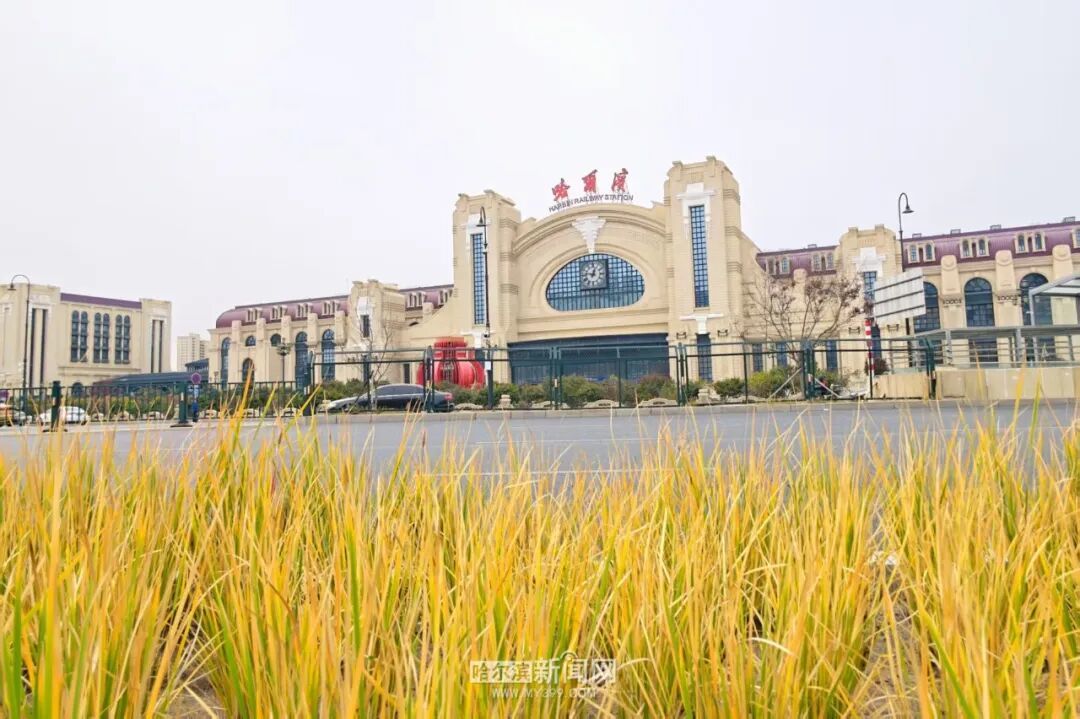 微信图片_20261015153741_5079_11.jpg