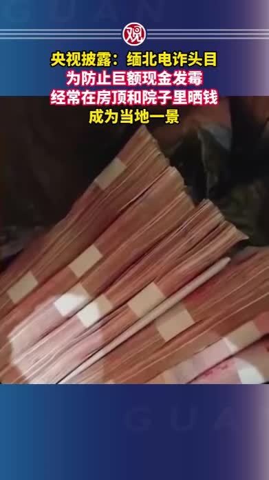 央视披露：缅北电诈头目为防止巨额现金发霉，经常在房顶和院子里晒钱，成为当地一景