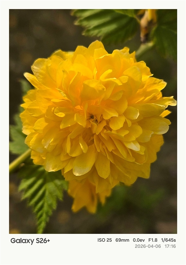 第五代骁龙8至尊版加持！三星Galaxy S26+手机体验评测：浮薄与性能兼得