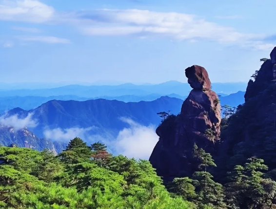 解锁春日之旅 限定版“花海列车”别错过