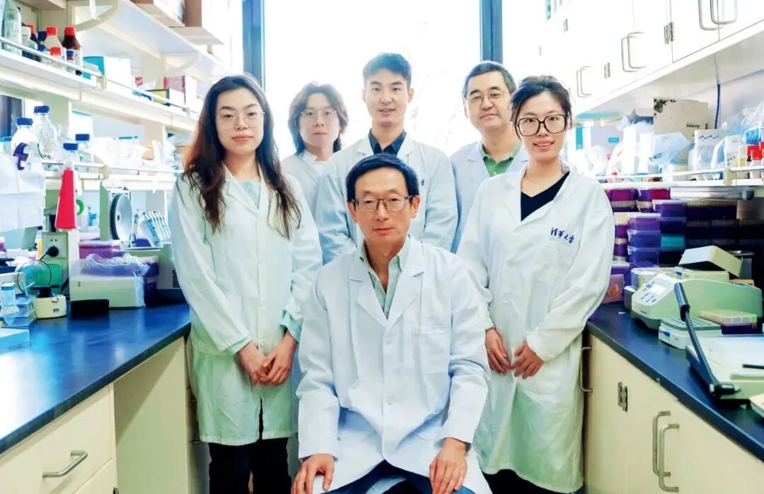 2026年,丁胜(前排正中)与团队成员合影。图/清华大学网站