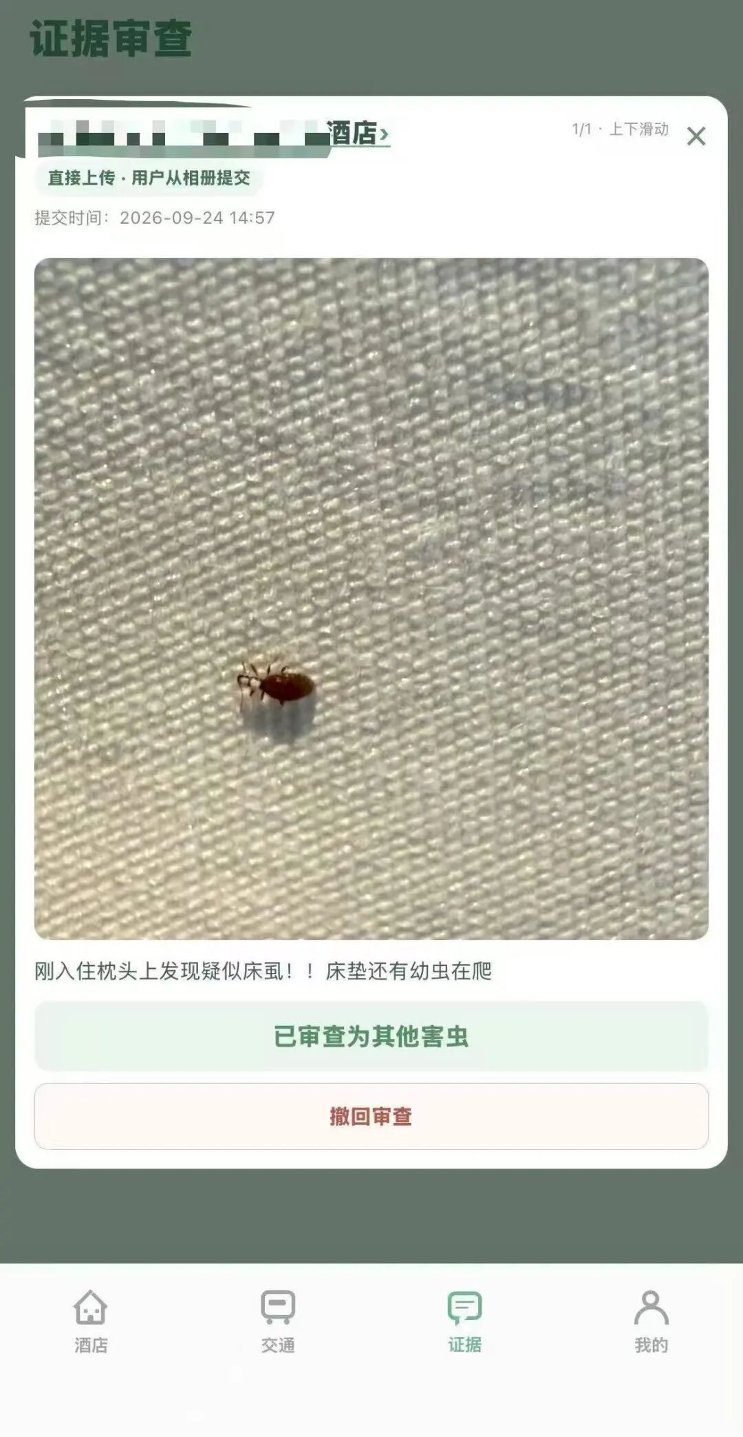△网友自行上传证据。