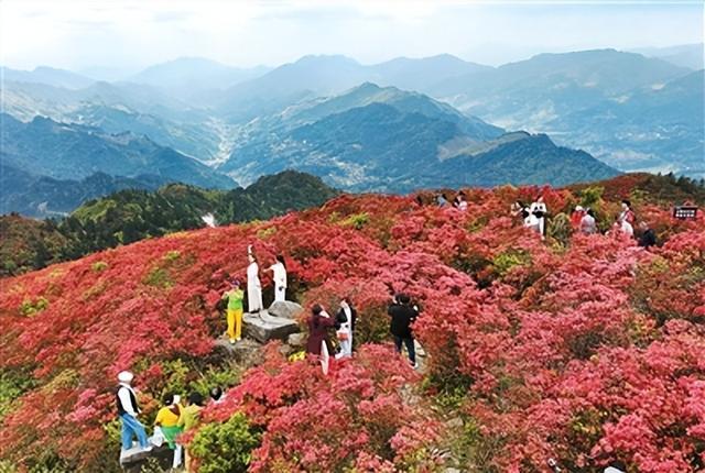 贵州省黔东南苗族侗族自治州丹寨县龙泉山，上万亩杜鹃花竞相绽放，吸引不少游客前来赏花。杨武魁摄（人民图片）
