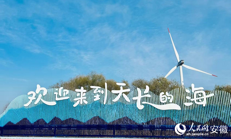 位于天长市万寿镇的“天长的海”。人民网记者 周坤摄