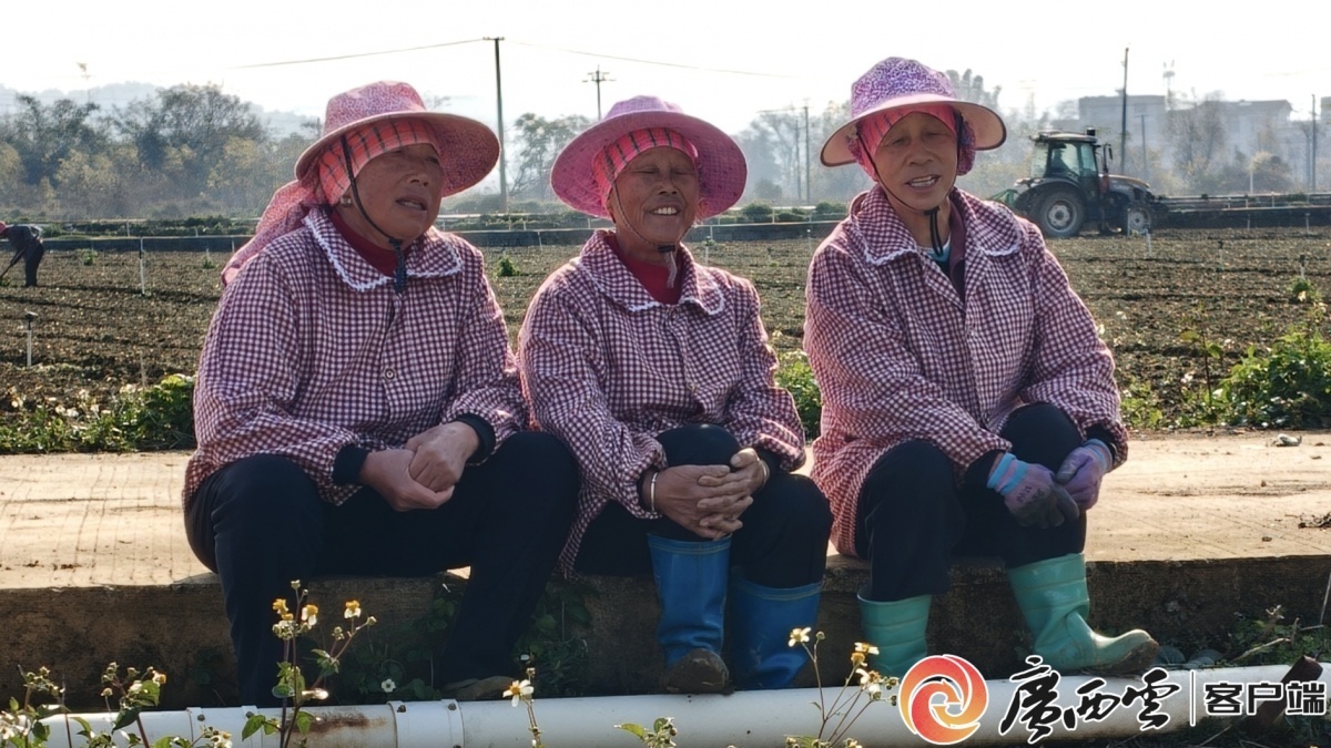 村民干活之余唱起蝴蝶歌解乏。