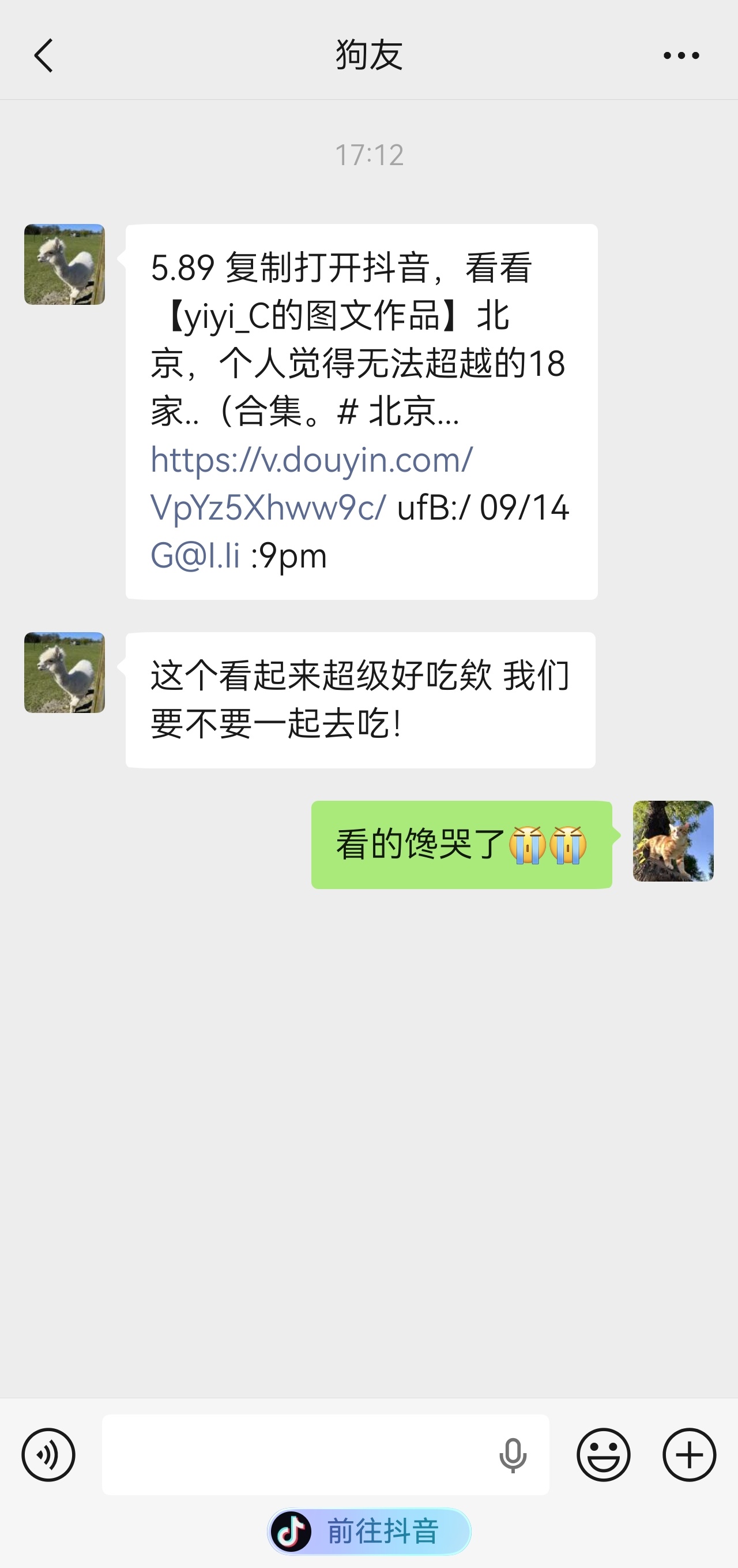 小艺导航条.jpeg