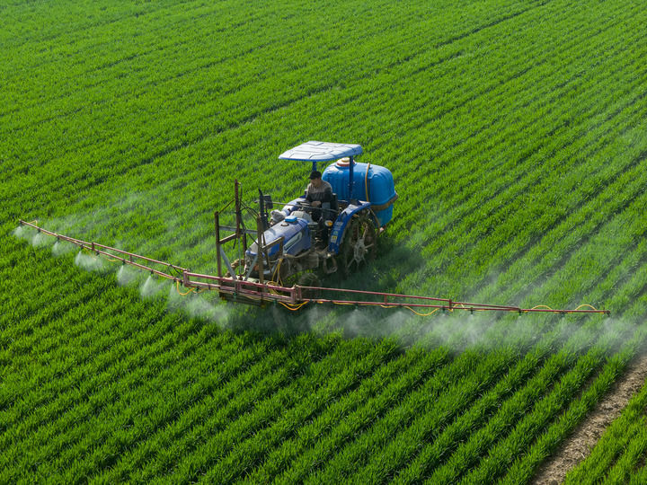 2026年3月25日，河南省三门峡市灵宝市西阎乡西古驿村农民在麦田进行“一喷三防”作业（无人机照片）。新华社发（杜杰 摄）