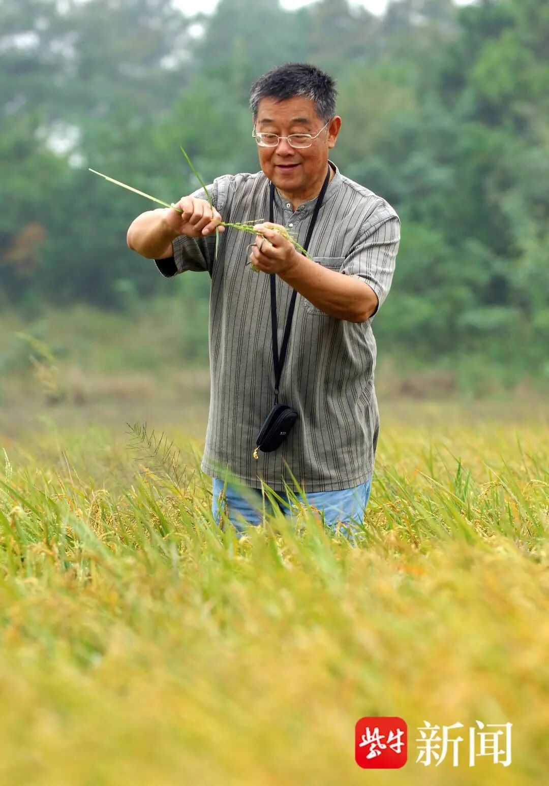赵亚夫在田间工作