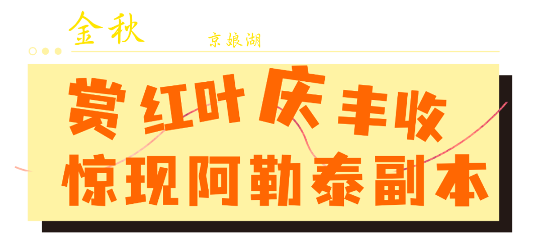 079befca565b3bb5bfefbe35e059b0b0.png