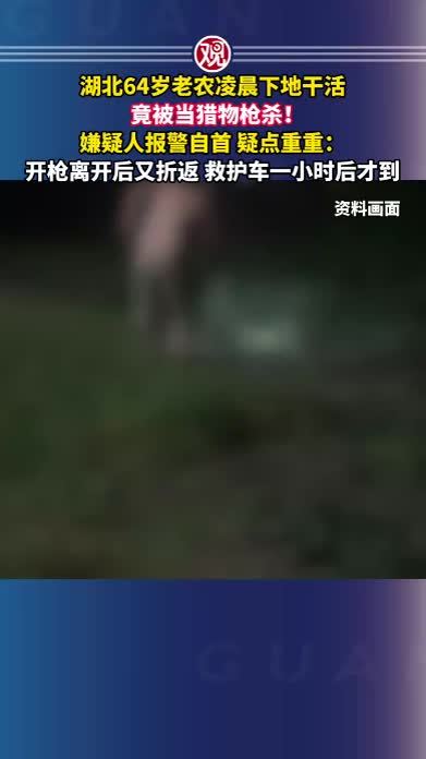湖北64岁老农凌晨下地干活竟被当猎物枪杀！嫌疑人报警自首，疑点重重：开枪离开后又折返，救护车一小时后才到