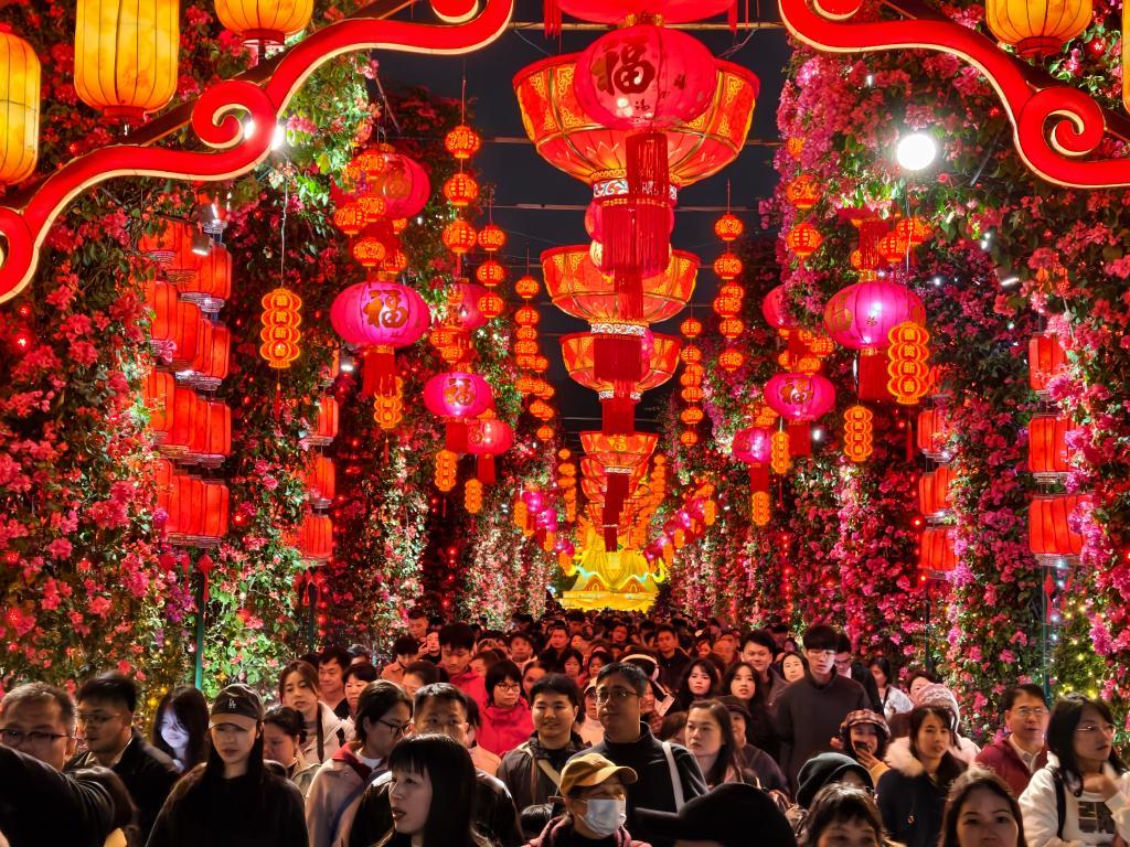 2月17日,游人在广西南宁青秀山风景区新春灯会上观赏花灯。新华社发(喻湘泉摄)