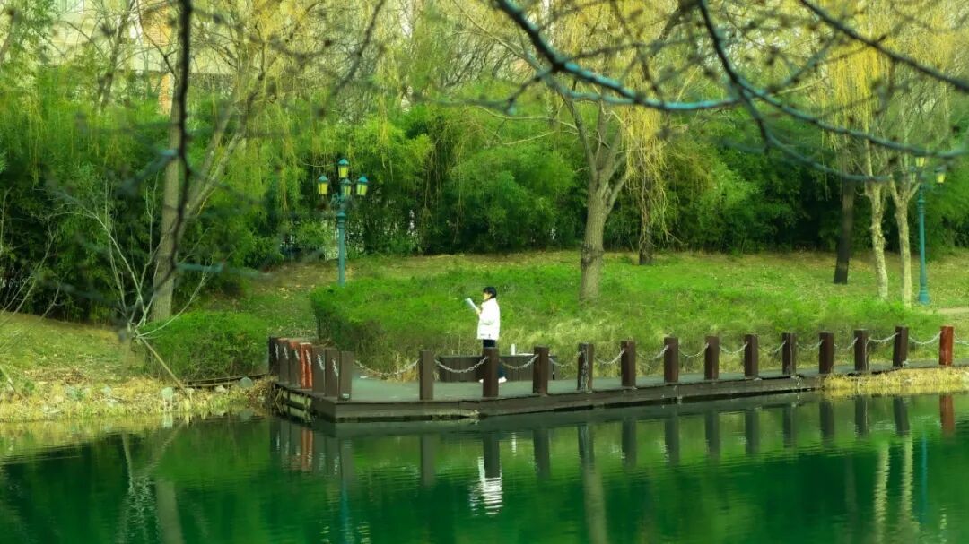 孙淑愉_早春.jpg