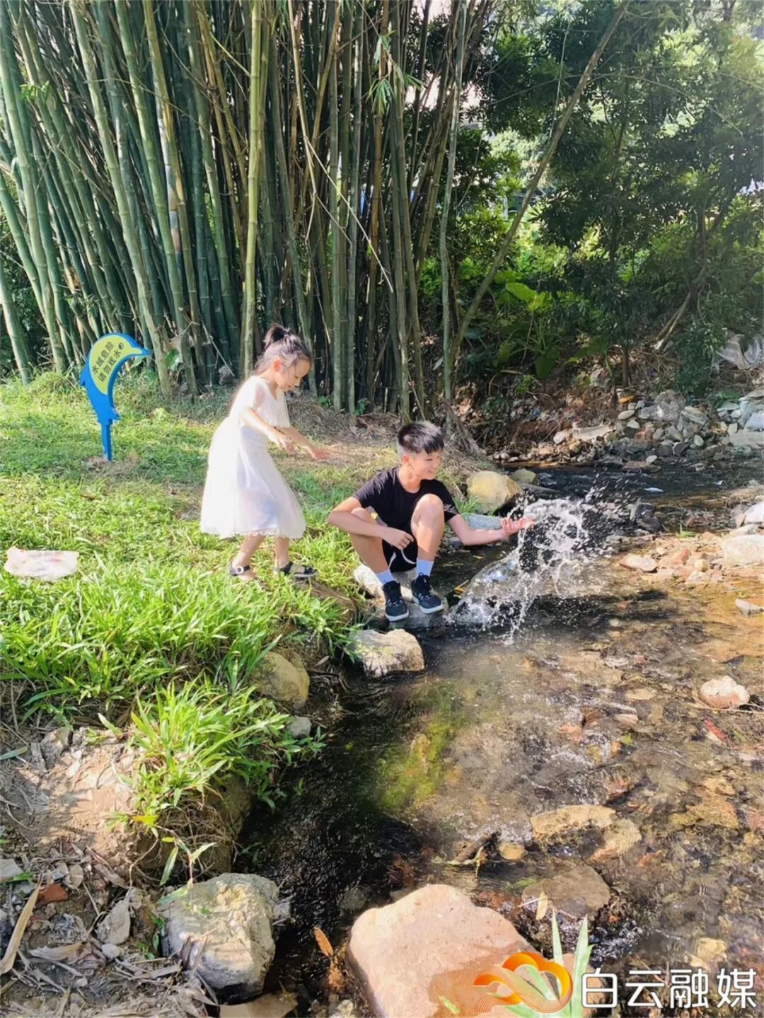 大源 沙坑涌.jpg