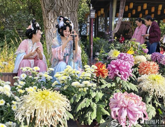 10月5日,在乌鲁木齐市植物园菊花展上,游客在拍照。