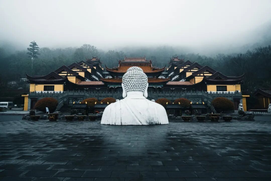 图虫创意-1984988224750747651.jpeg