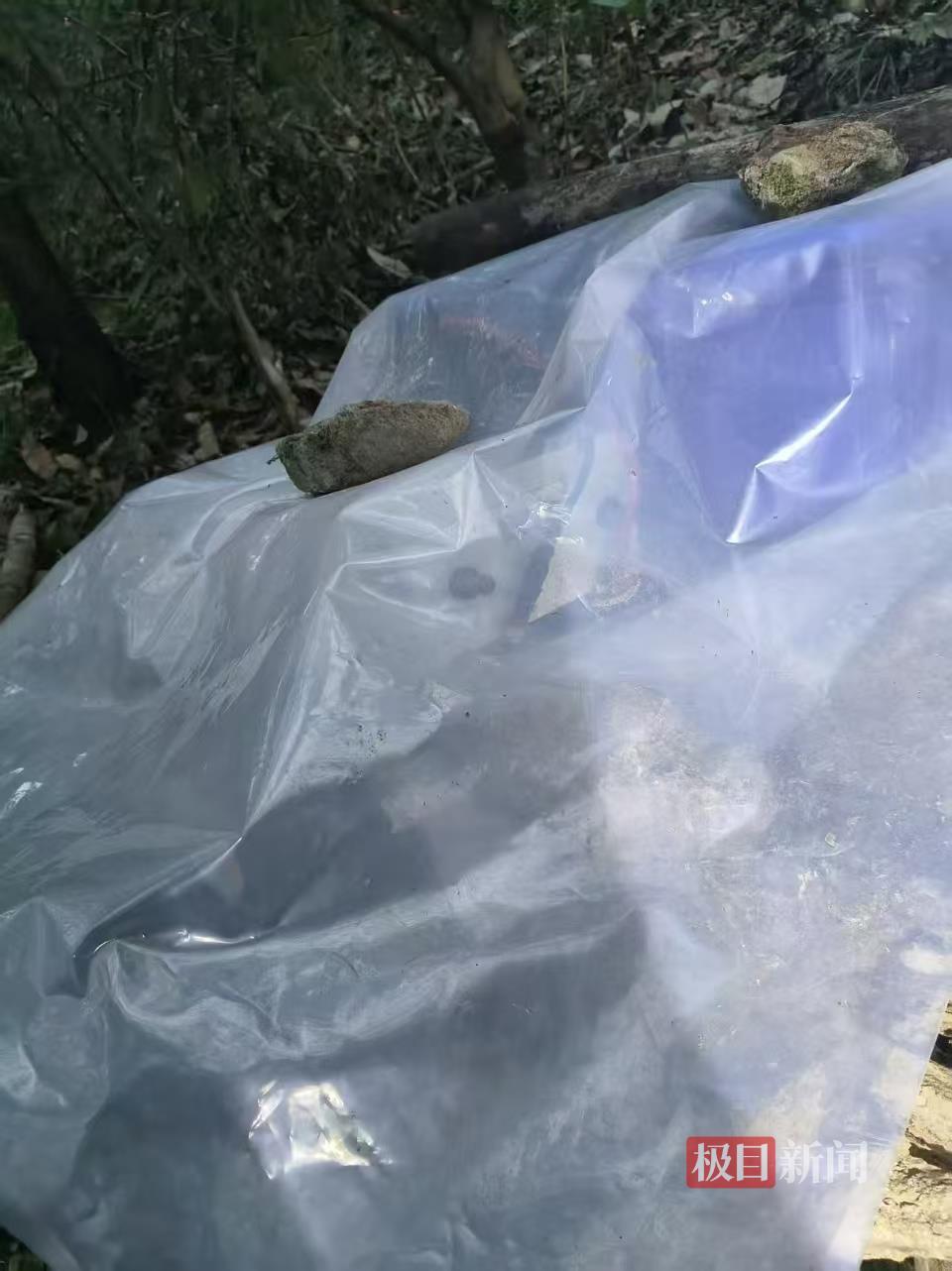 捕猎装置(受访者供图)