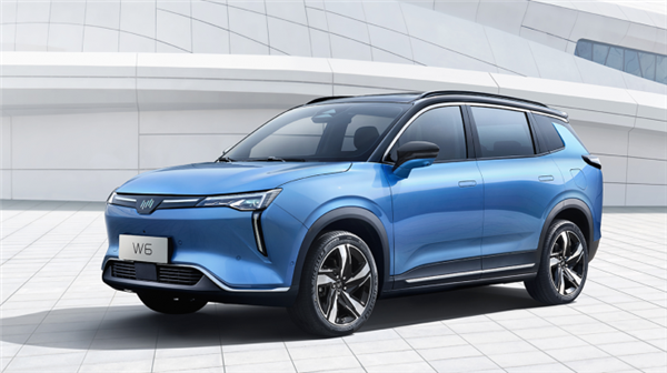能捡到漏吗？威马汽车1.275亿债权100元起拍 最终9.35万元见效拍出