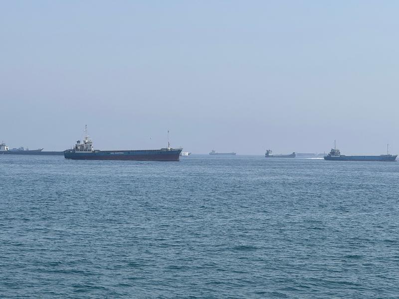 这是5月29日在阿曼北部小镇海塞卜拍摄的滞留在霍尔木兹海峡水域的商船（手机照片）。新华社