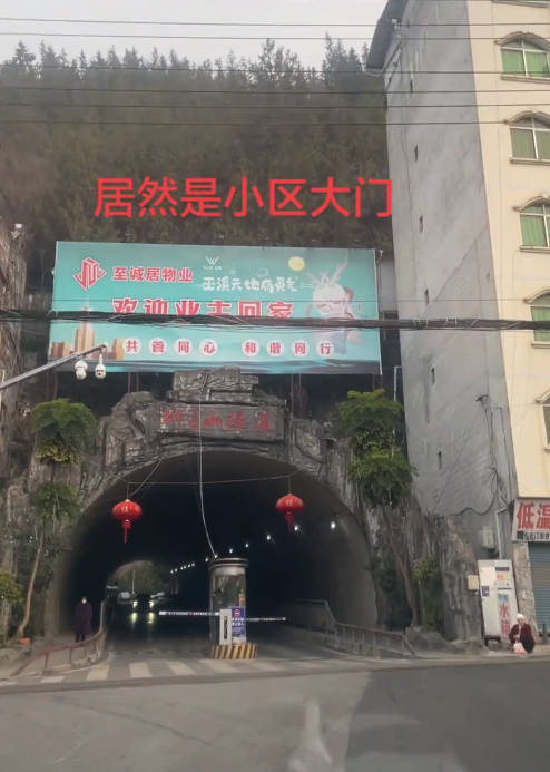 视频截图.jpg