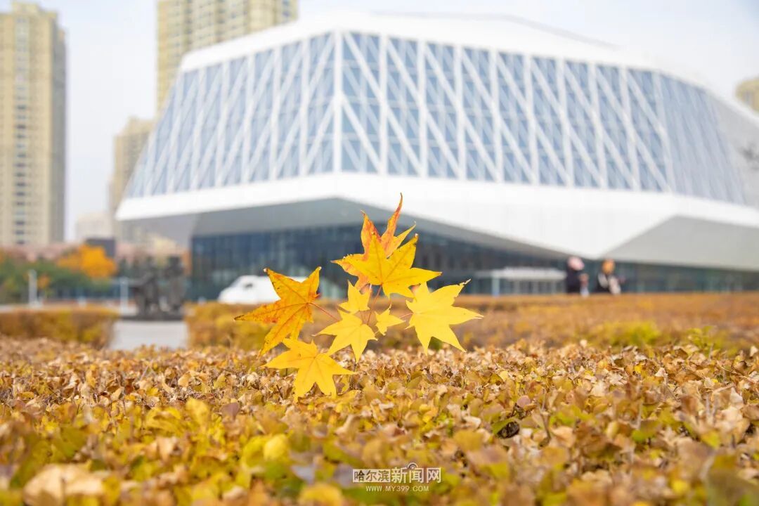 微信图片_20261012161851_7233_15.jpg