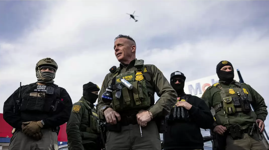 ·博维诺（中）在指挥“作战”。（芝加哥《太阳时报》）