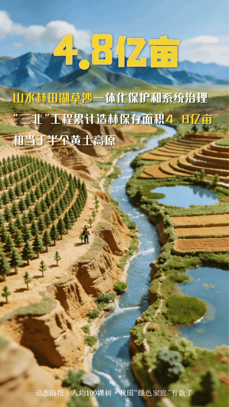 人均100棵树!一组动态海报看我国“绿色家底”