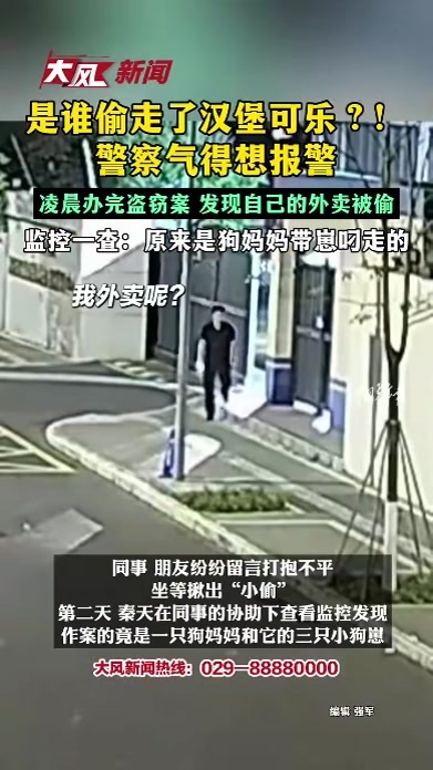 是谁偷走了汉堡可乐！警察气得想报警，凌晨办完盗窃案 发现自己的外卖被偷了，监控一查：原来是狗妈妈带着幼崽叼走了