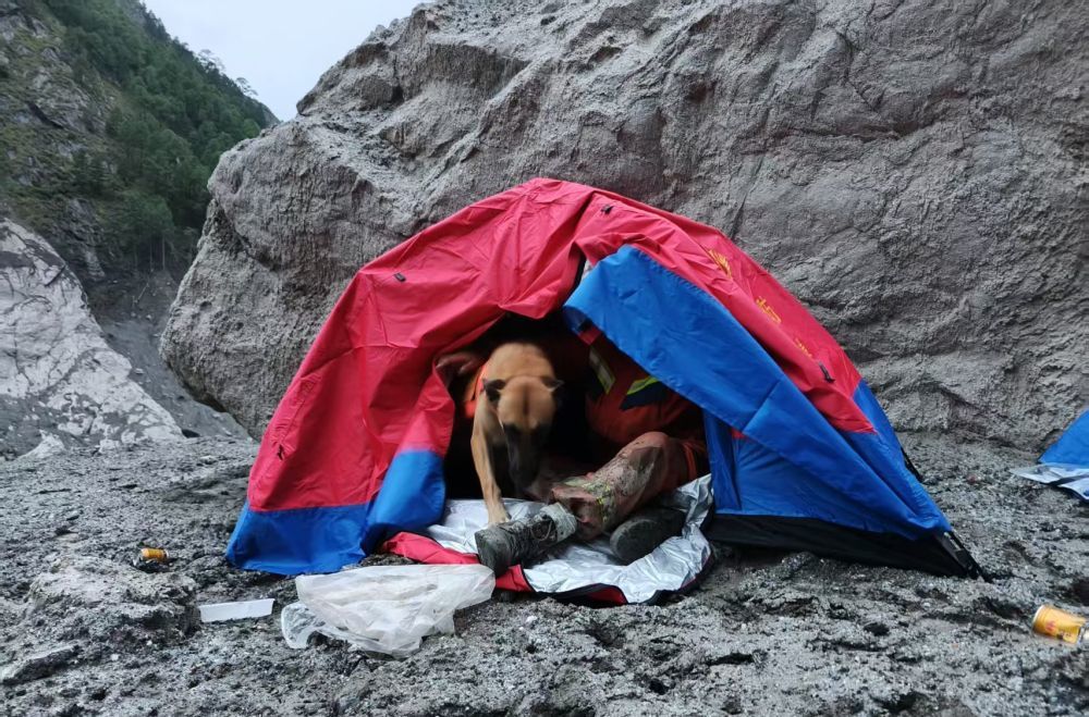 8月31日,入夜前,搜救犬和救援人员在帐篷里互相取暖。