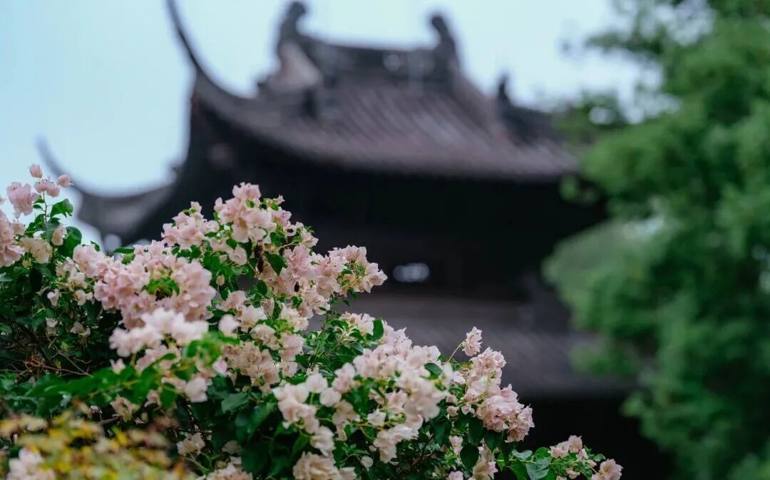 5493713cly1ihm7e8n8vzj22bc1jkkjl.jpg