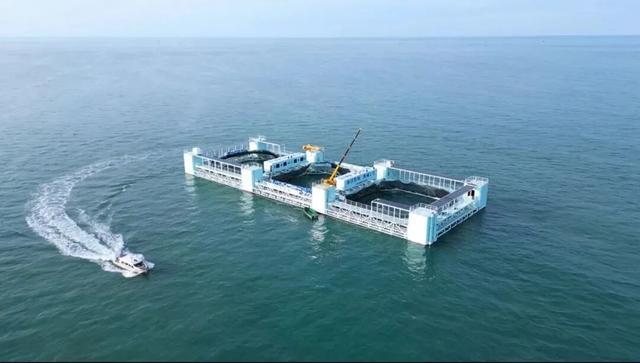 湛江海洋牧场。资料图片