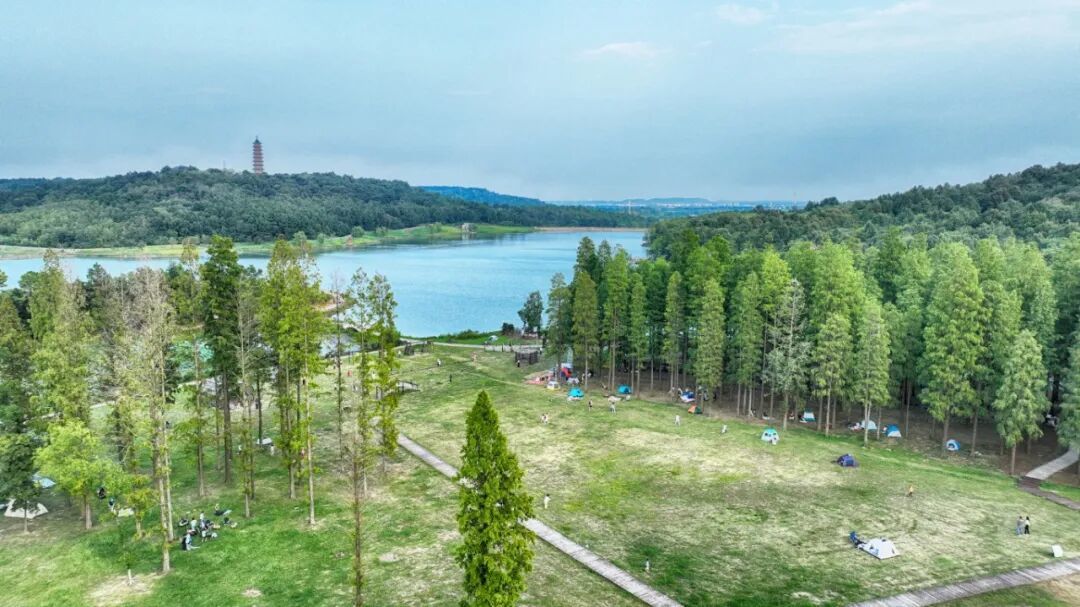 DJI_0563.JPG