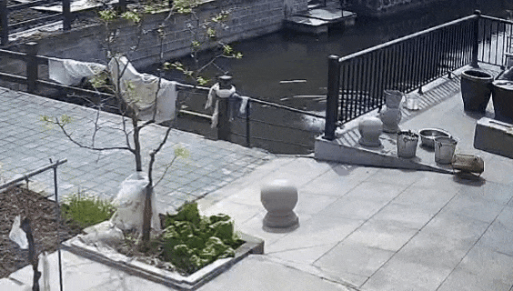 下水救人.gif