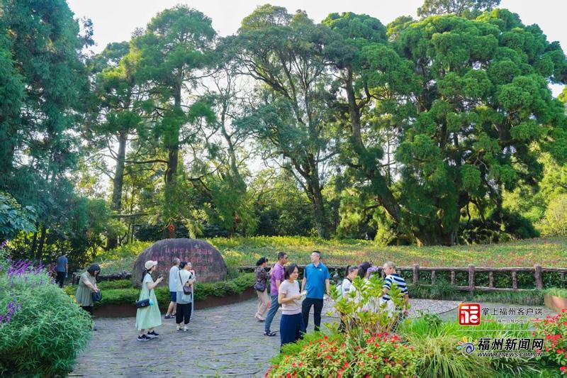 县在发生|一半山水一半歌,晋安何以“近悦远来”?