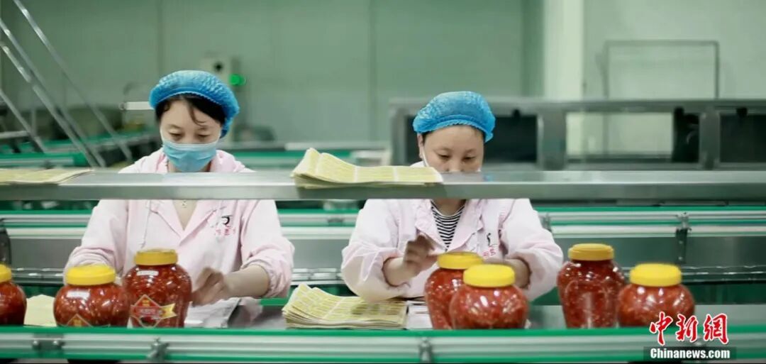 图为鸡泽县辣椒加工企业工人正在给罐装好的剁椒贴标签。 中共鸡泽县委宣传部供图
