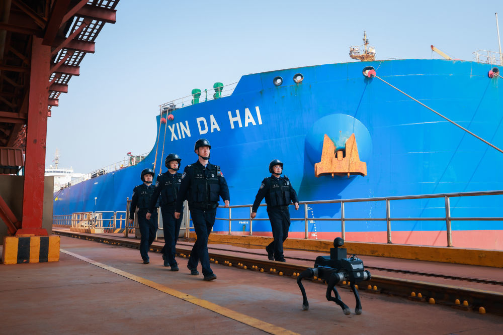 2026年4月2日,山东边检总站董家口边检站启用四足机器人开展港区巡查,以科技强警提升管控效能。(受访者供图)