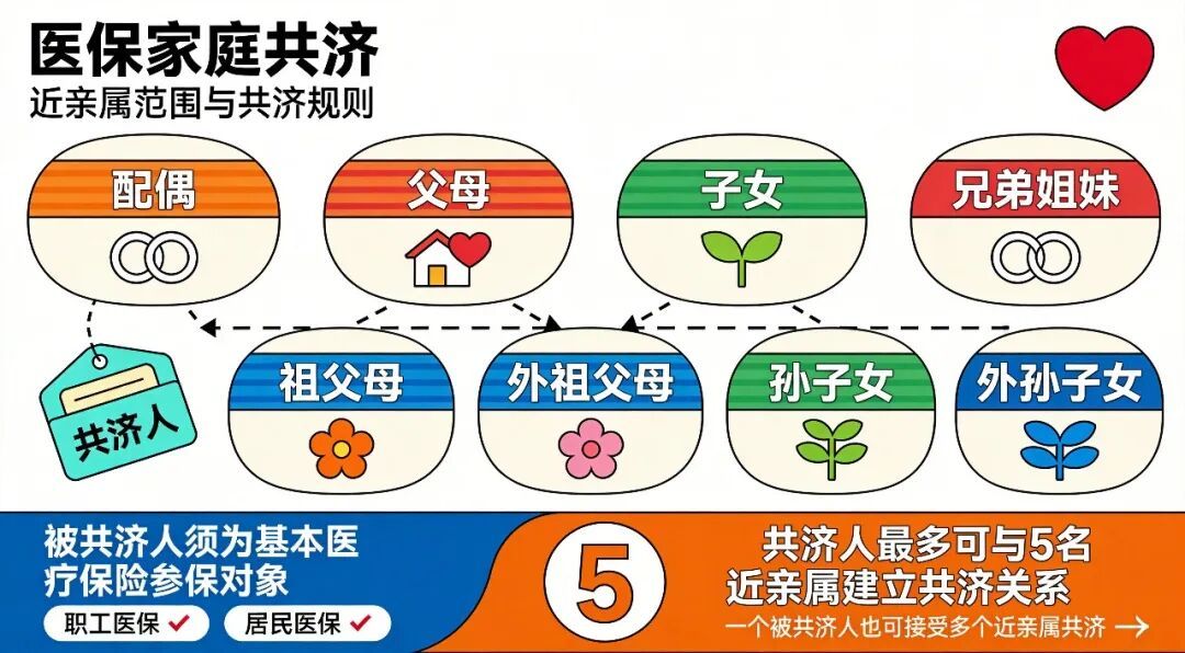医保共济近亲属范围_4k_v2.png