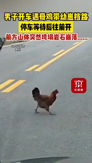 司机停车礼让母鸡后前方山体垮塌