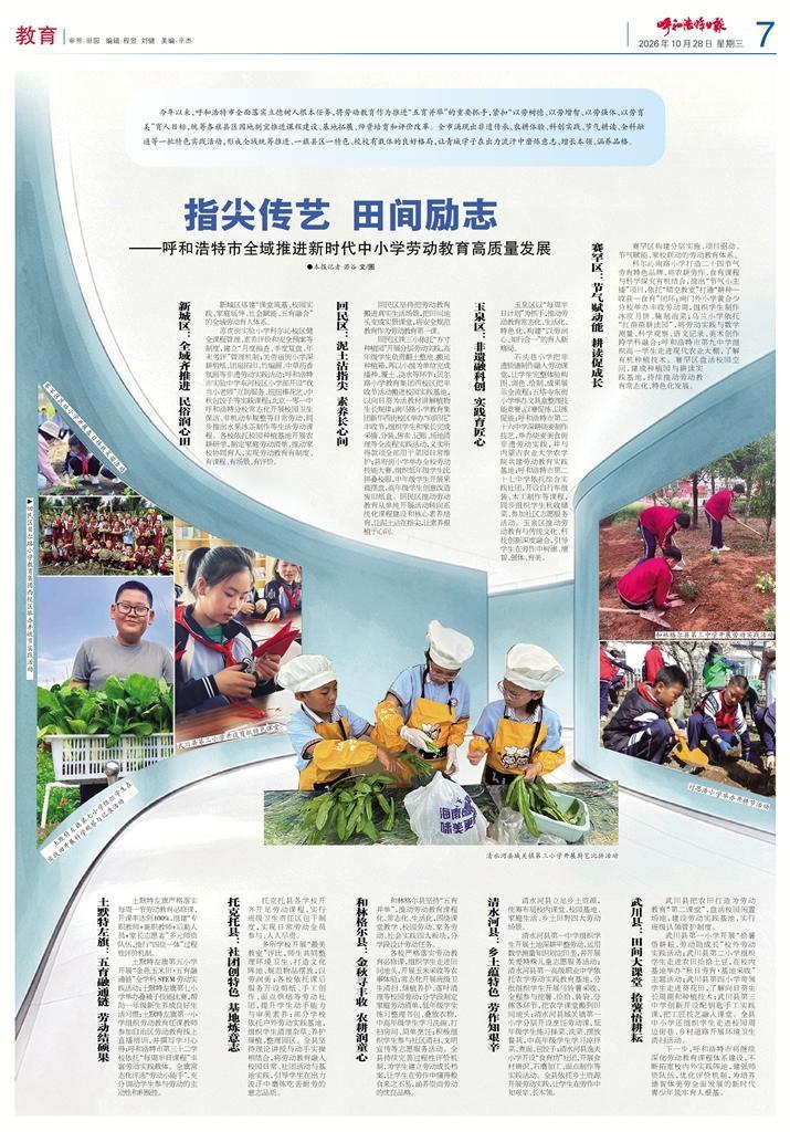 报纸版面