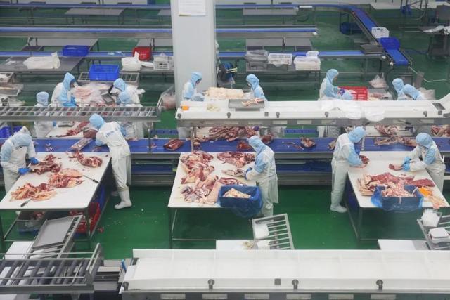 华阳牛业科技有限公司屠宰加工车间