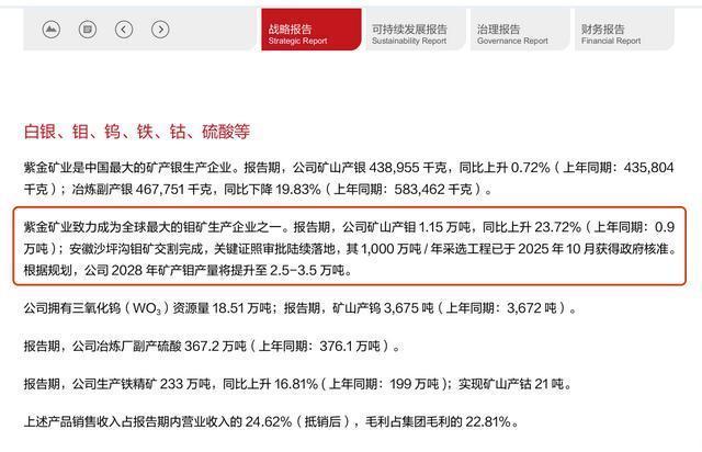 马矿股份第二大股东坐拥全球最大单体钼矿,数据“打架”待解释