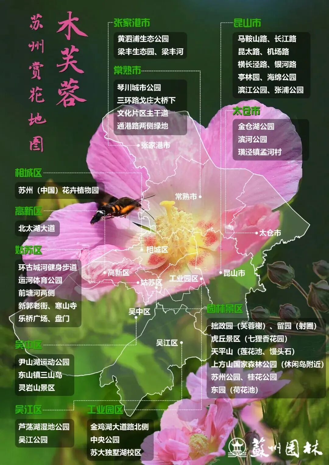 090cb7224c671401a74069acf97d43d3.jpg
