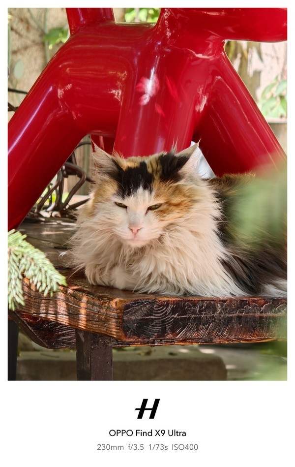 使用OPPO Find X9 Ultra拍摄