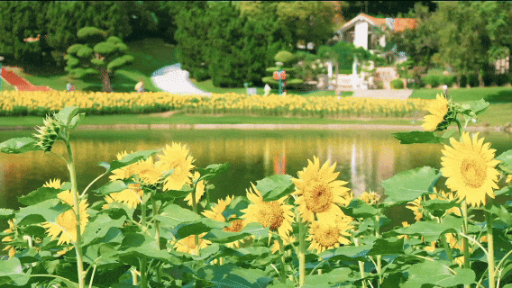 9月30日(1).gif