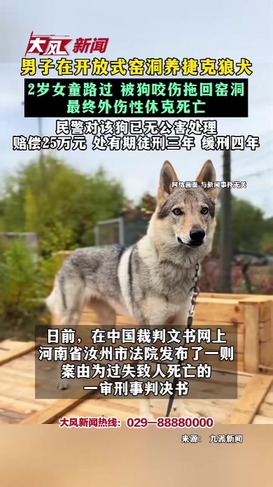 男子在开放式窑洞养捷克狼犬 2岁女童路过 被狗咬伤拖回窑洞 最终外伤性休克死亡 民警对该狗已无公害处理 赔偿25万元 处有期徒刑三年 缓刑四年
