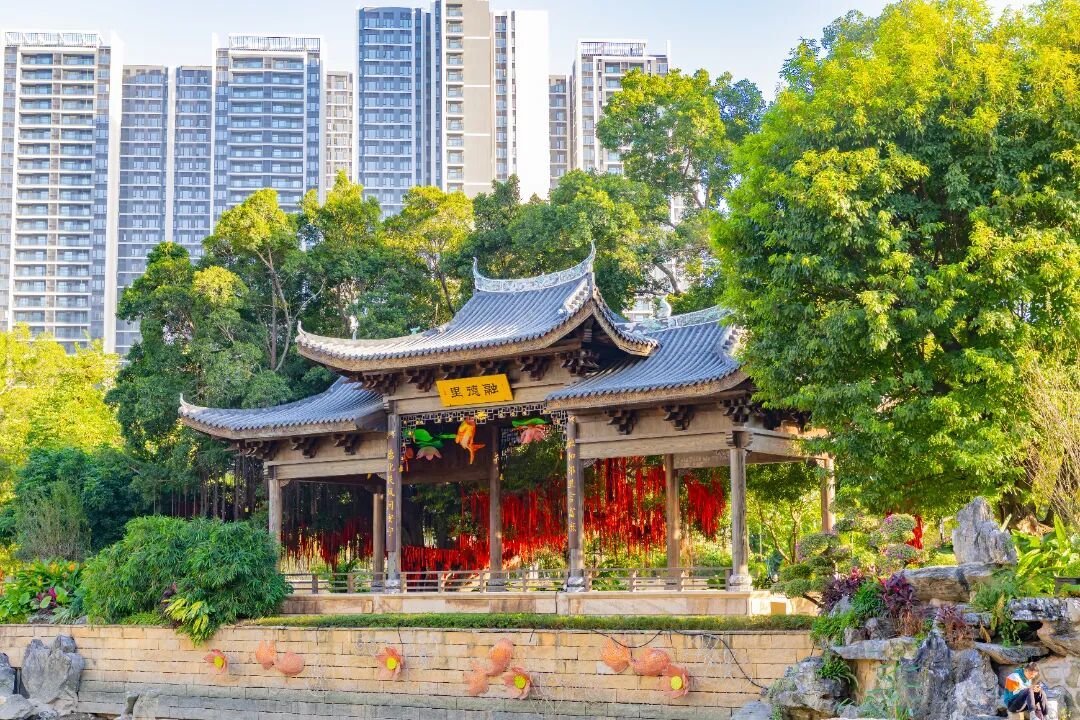 2023.11 胡佩憶 摄7.jpg