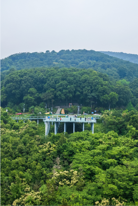 老山观景平台.png