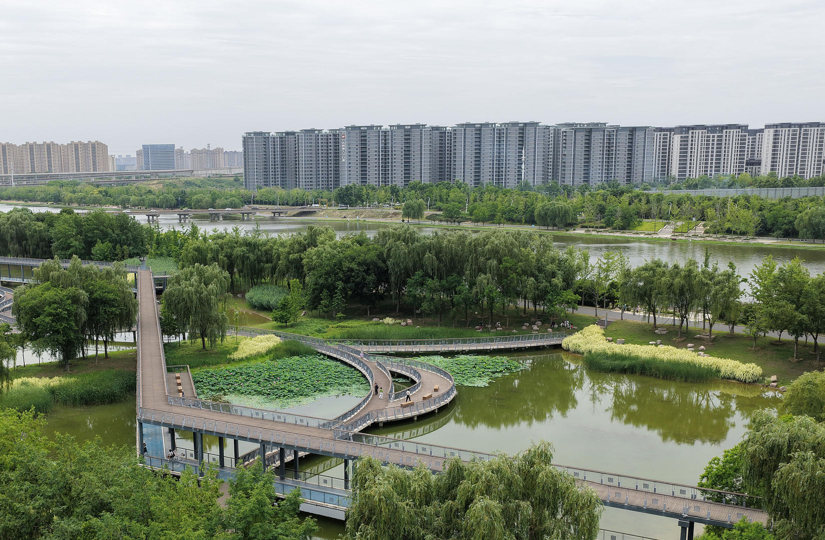 ▲5月28日,郑州贾鲁河海绵示范公园风光 图据视觉中国