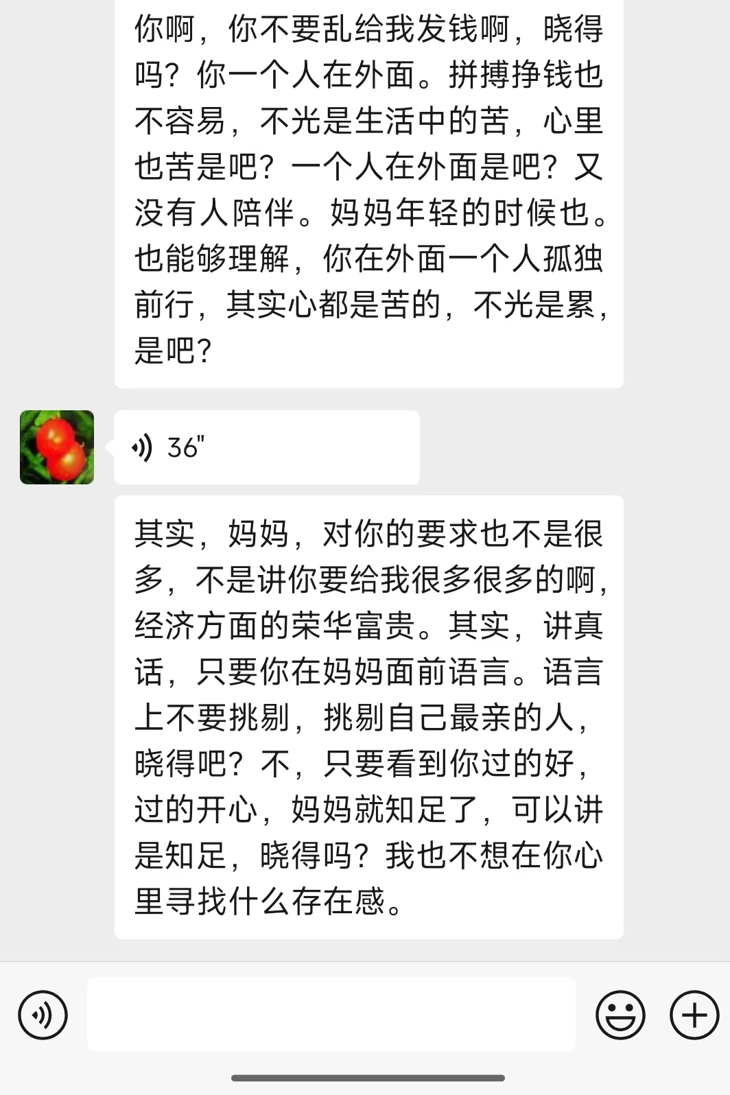 母亲发的语音截图/受访者提供