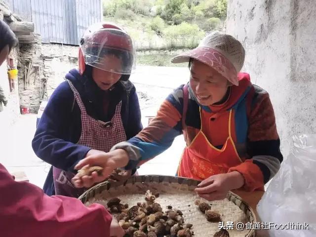 ◉牧云坡妇女采摘小组。图源：食通社
